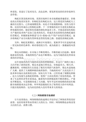 “天路珍品，云端觸達(dá)”——青藏高原特產(chǎn)店網(wǎng)絡(luò)營(yíng)銷策劃方案